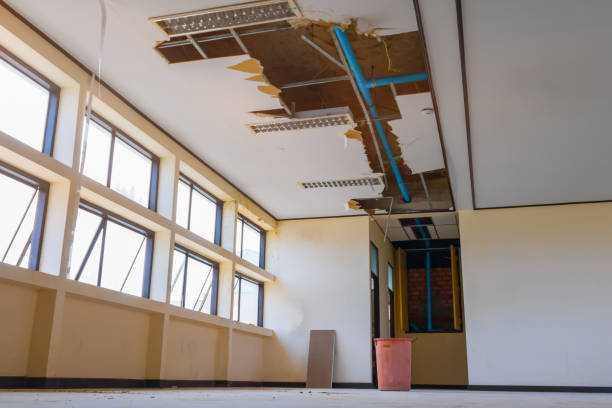 Best Flood damage cleanup  in South Shore, KY