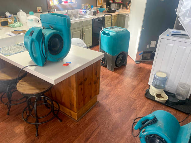 Best Water damage restoration mold remediation  in South Shore, KY