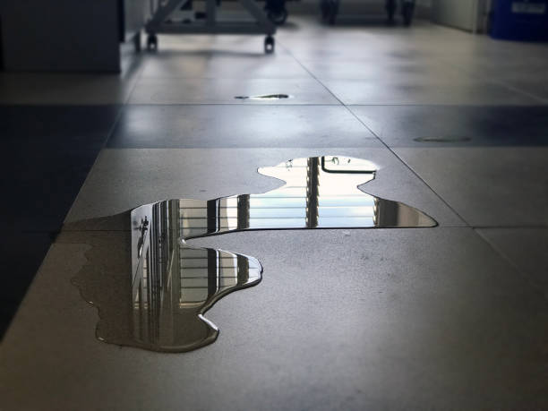 Best 24/7 water damage repair  in South Shore, KY