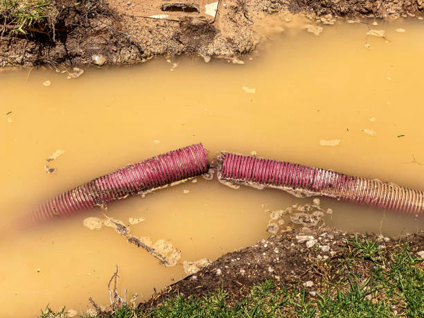 Best Basement water damage restoration  in South Shore, KY