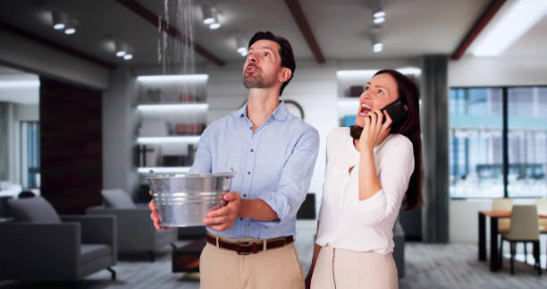Best Water damage restoration near me  in South Shore, KY