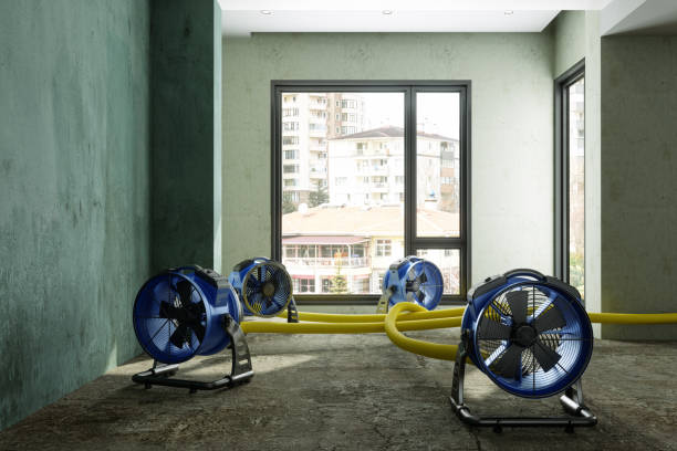 Best Ceiling water damage repair  in South Shore, KY