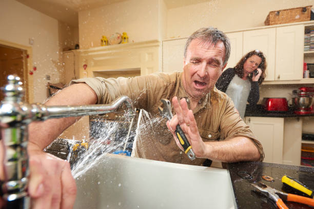 Best Carpet water damage restoration  in South Shore, KY